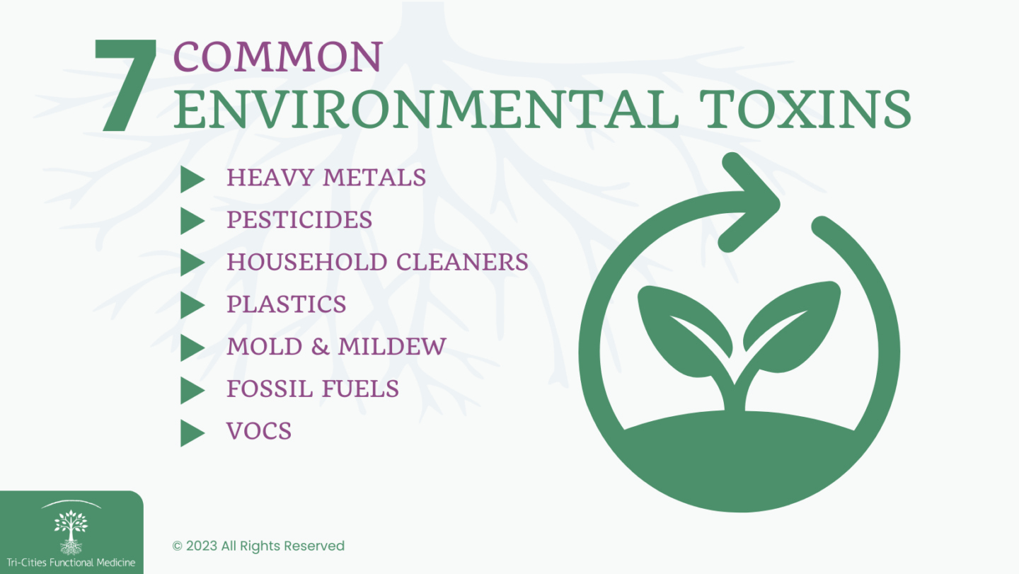 7 Common Environmental Toxins